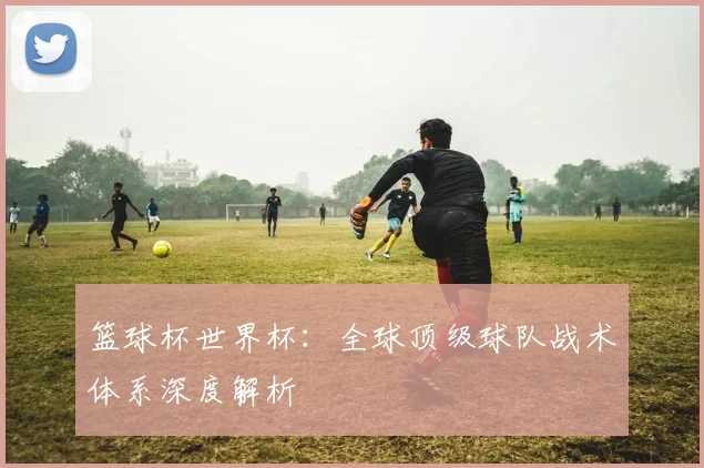 篮球杯世界杯：全球顶级球队战术体系深度解析