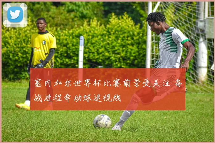 塞内加尔世界杯比赛前景受关注 备战进程牵动球迷视线