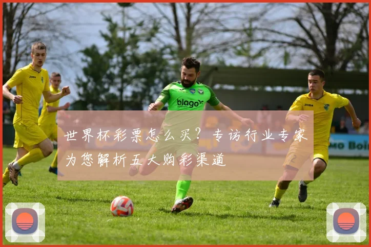 世界杯彩票怎么买?专访行业专家为您解析五大购彩渠道