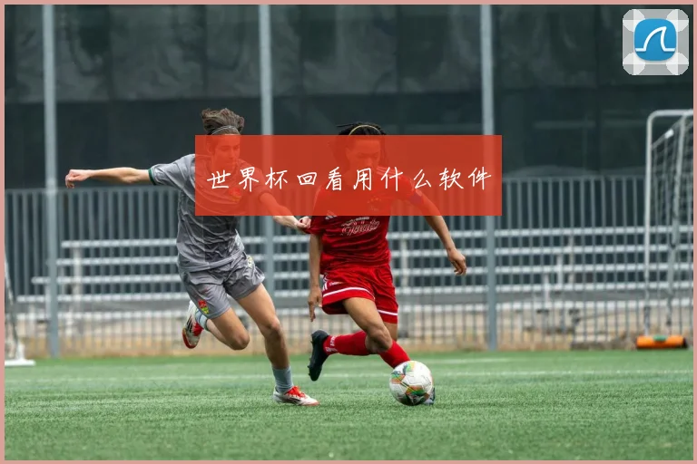 世界杯回看用什么软件