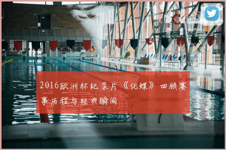 2016欧洲杯纪录片《化蝶》回顾赛事历程与经典瞬间