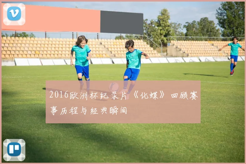2016欧洲杯纪录片《化蝶》回顾赛事历程与经典瞬间